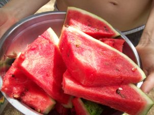 Ever-present watermelon