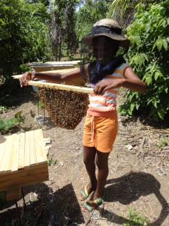 Demonstrating how to properly hold a comb, this little girl is fearless in her shorts and tank top!