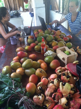Lovely kitchen table with Kylie, Taylor, calaloo, part of a pollen trap, ackee, an empty honey bottle and loads of Julie mangoes.
