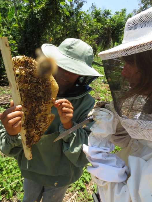 Being part of a community, working together, being supportive... We've gotten so much from living and working with the bees, and we love them!